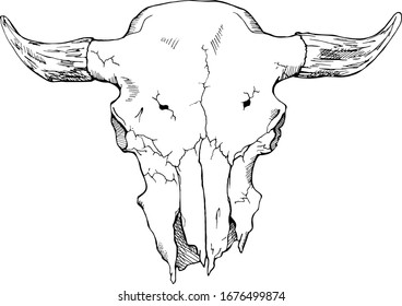Bull skull. Tattoo design vector art.