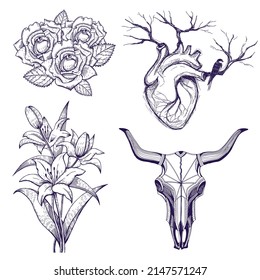 Bull skull tattoo set, lily, swallow, roses, heart. Tribal tattoo, boho style sketch, isolated on white