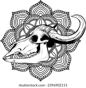 bull skull vector art outline illustration
