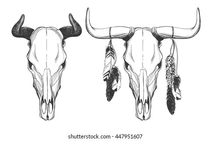 Bull skulls with feathers. Native American Indian talisman. Vector hand drawn hipster illustration isolated on white background. Boho design, tattoo art, coloring book for adults.