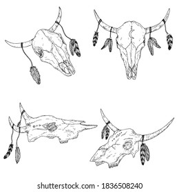 Bull skulls with feathers on horns. Boho style. Vector illustrations. Isolated on white. Hand-drawn style.