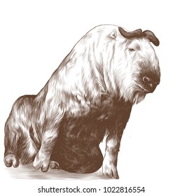 bull with small horns sitting, sketch vector graphic monochrome drawing