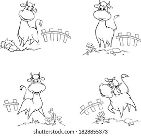 The bull stands in the field. Vector illustration with farm. Comical ox cartoon character. New year 2021 symbol. Isolated on white. Collection of cow with various posing. Coloring book for children