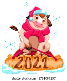 Bull symbol of 2021. Christmas cow in santa hat sledding. Isolated on white vector cartoon illustration