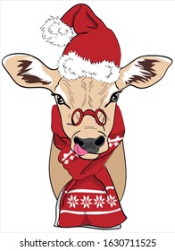 Bull is symbol of the new year. Cow in Santa Claus hat and scarf. Postcard, poster, composition for t-shirts, print in the style of hand-drawn. 
Christmas Bull isolate on white background. 
