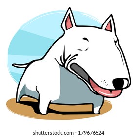 Bull Terrier