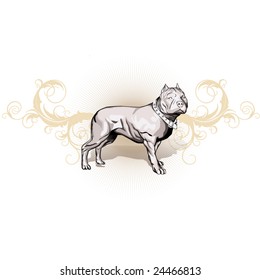 bull terrier