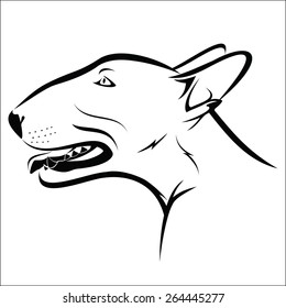 Bull terrier