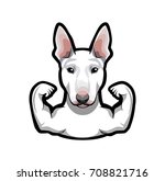 Bull Terrier. Bullterrier dog Muscles gesture. Strong dog. Vector illustration isolated on white background
