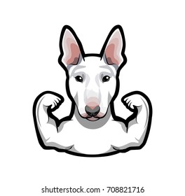 Bull Terrier. Bullterrier dog Muscles gesture. Strong dog. Vector illustration isolated on white background