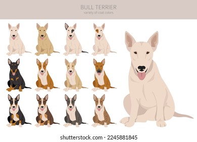 Clíparte de Bull terrier. Todos los colores del abrigo.  Posición diferente. Todas las razas de perros tienen características infográficas. Ilustración del vector