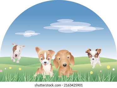 A bull terrier, a dachshund, a Welsh corgi and a papillon puppy are playing in the meadow.vector illustration
