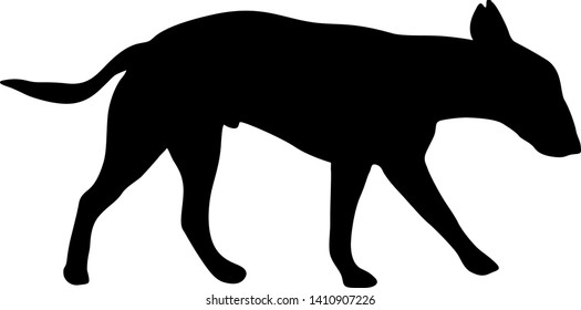 Bull terrier dog black silhouette on white background.