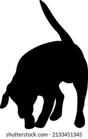 Bull terrier dog black silhouette on white background.