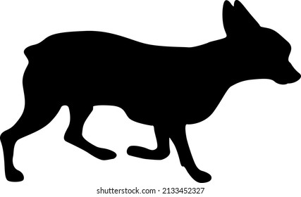 Bull terrier dog black silhouette on white background.