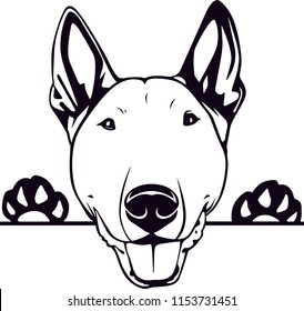 Bull Terrier Dog Breed Love Peeking Pet Puppy Mom Design Element Ribbon Isolated Head Face