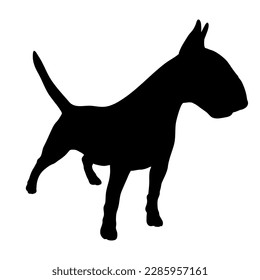 Bull terrier  Dog breeds. Silhouette. Vector. Animals