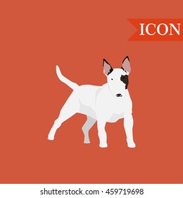 Bull terrier dog colorful background