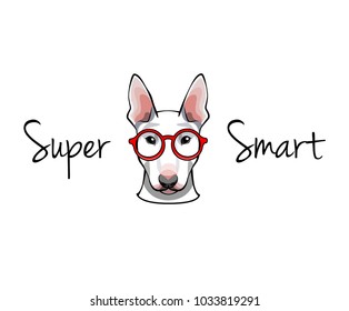Bull Terrier dog in glasses - vector illustration isolated on white background
