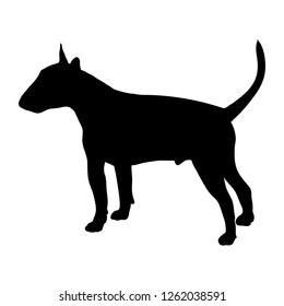 Bull Terrier dog on a white background. Silhouette. Vector illustration