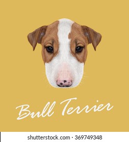 Bull Terrier Dog Portrait. Vector illustrated Portrait of  Bull Terrier Puppy on yellow background.