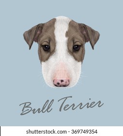 Bull Terrier Dog Portrait. Vector illustrated Portrait of  Bull Terrier Puppy on blue background.