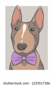 Bull Terrier dog with purple bowtie portrait vector graphic illustration