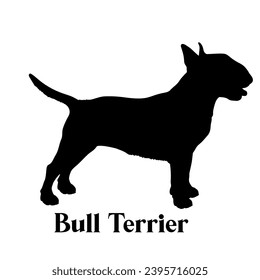 Bull Terrier Dog silhouette dog breeds dog monogram logo dog face vector