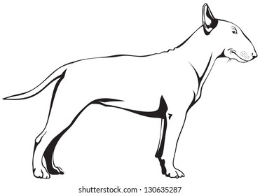 Concept Horse Line Logo Stock Vector (Royalty Free) 1707016777 ...