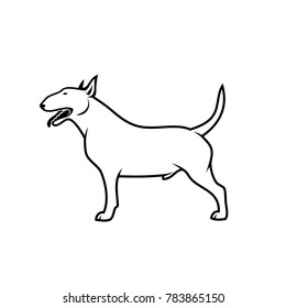 Bull Terrier dog - vector illustration