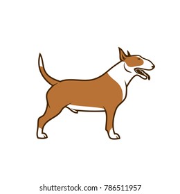 Bull Terrier dog - vector illustration