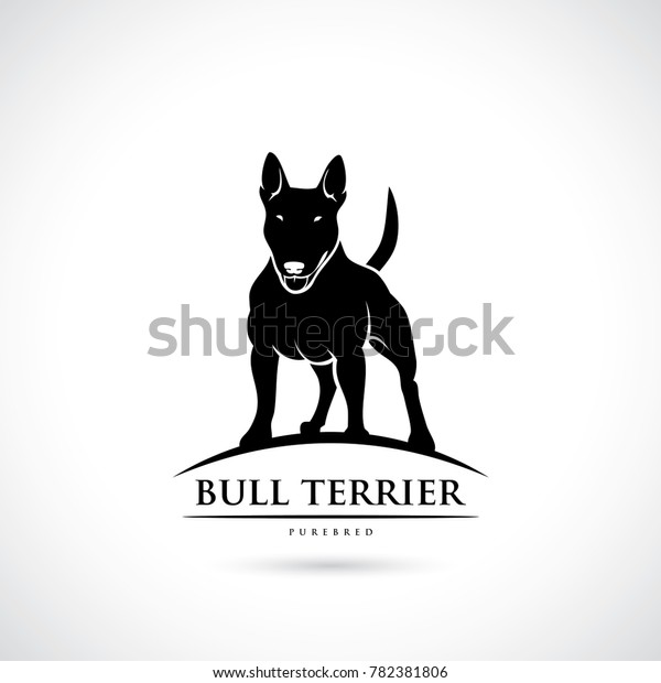 Bull Terrier Dog Vector Illustration Stock Vector (Royalty Free ...