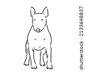 Bull terrier, bull terrier funny face, black and white vector illustration