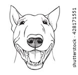 Bull terrier, bull terrier funny face, black and white vector illustration