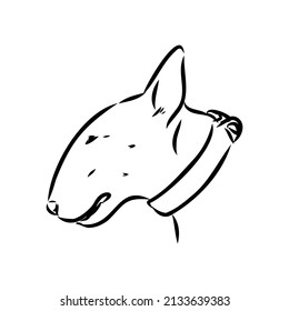 Bull terrier, bull terrier funny face, black and white vector illustration