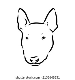 Bull terrier, bull terrier funny face, black and white vector illustration