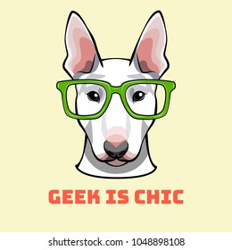 Geek Images, Stock Photos & Vectors  Shutterstock