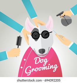 Bull terrier getting groomed at pet grooming salon.