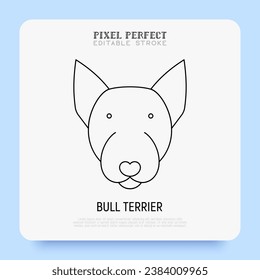 Bull terrier head thin line icon. Dog breed. Editable stroke. Vector illustration.