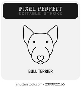 Bull terrier head thin line icon. Dog breed. Editable stroke. Vector illustration.