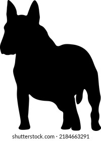 Bull Terrier Isolated vector illustration from side and standing