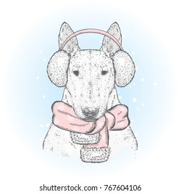 Bull Terrier in a New Year's cap and winter headphones. A pedigree dog in clothes and accessories. Fashion & Style. Vector illustration.