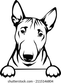 Bull Terrier Peeking Perro Vector Imagen Bull Terrier Negro Y Blanco Esboza Silhouette Cricut Clipart 