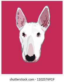 Bull Terrier Pink Pop Art Colorful