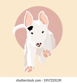 Bull terrier, bull terrier puppy, gentle background, human friend dog, pet dog, running, vector illustration.