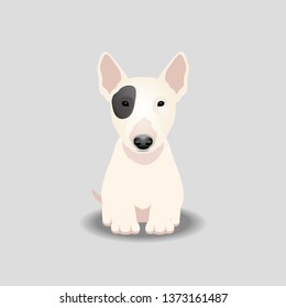 Bull Terrier Puppy Vector Illustration. Dog isolated