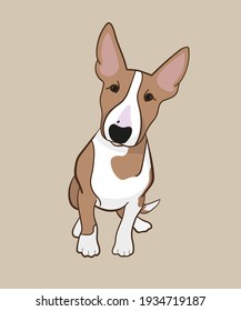 Bull terrier puppy. Vector illustration. Dog isolated