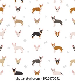 Bull terrier seamless pattern. Different poses, coat colors set.  Vector illustration