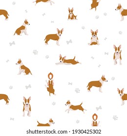 Bull terrier seamless pattern. Different poses, coat colors set.  Vector illustration