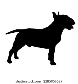 Bull terrier from the side Dog breeds. Silhouette. 